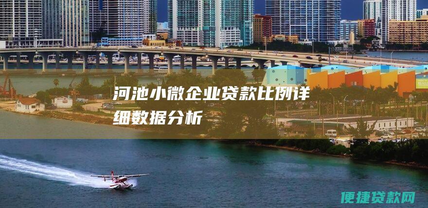 河池小微企业贷款比例详细数据分析