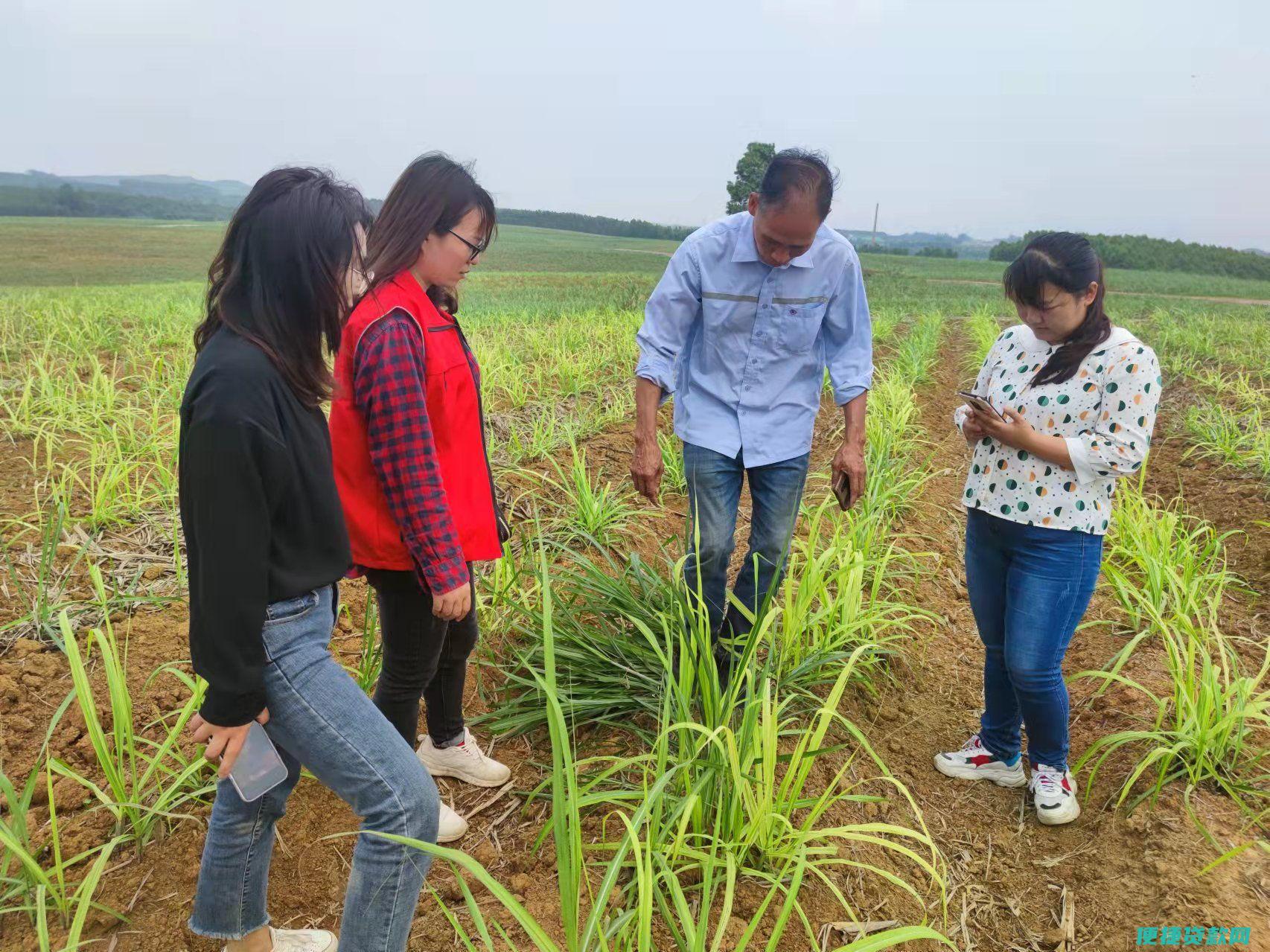 来宾市武宣助学贷款资助中心号码是多少