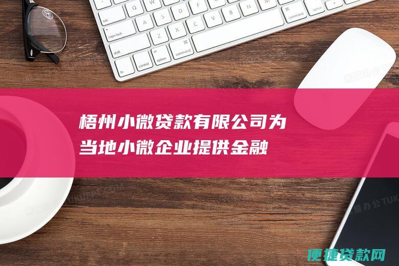 梧州小微贷款有限公司：为当地小微企业提供金融支持