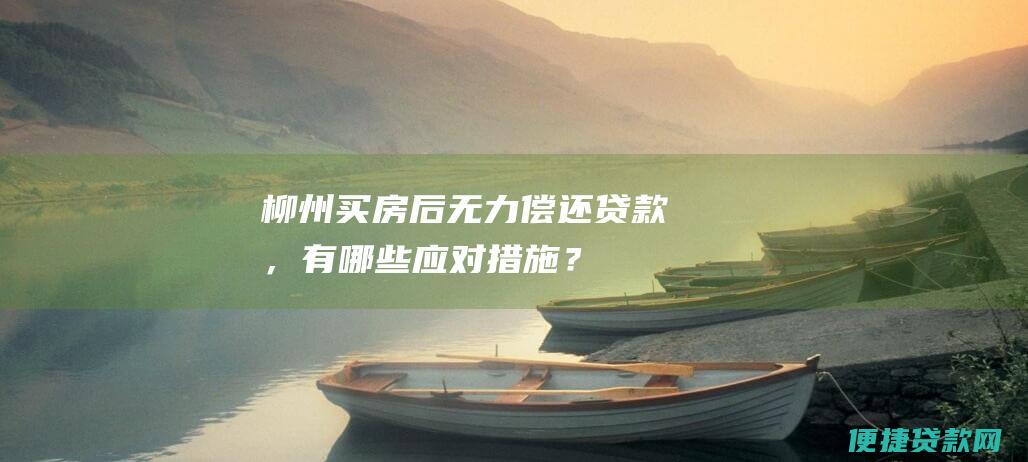 柳州买房后无力偿还贷款，有哪些应对措施？