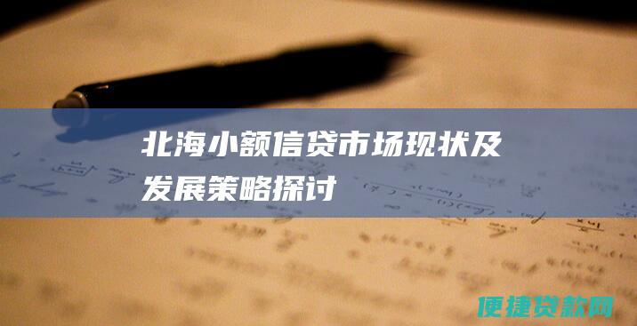 北海小额信贷市场现状及发展策略探讨