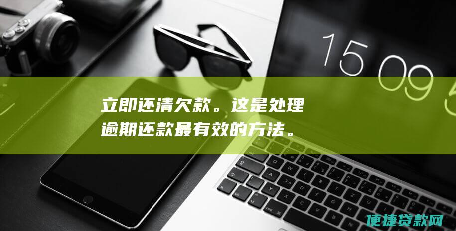 立即还清欠款。这是处理逾期还款最有效的方法。如果您有能力一次性还清欠款，请立即这样做。