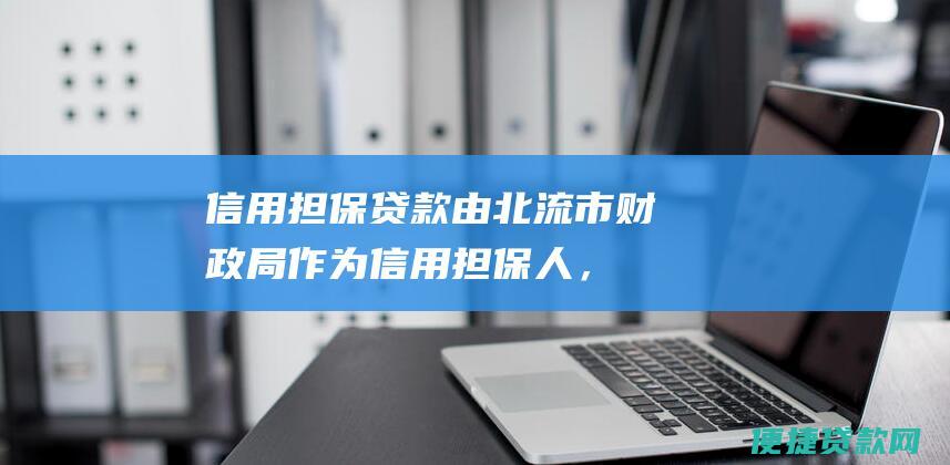 信用担保贷款：由北流市财政局作为信用担保人，面向符合条件的中小微企业发放的贷款。