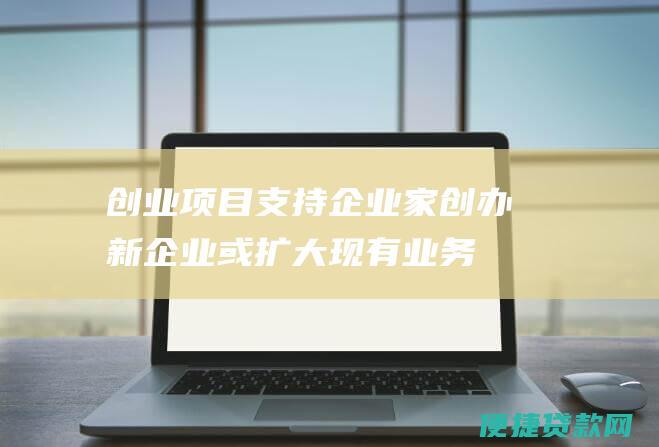 创业项目：支持企业家创办新企业或扩大现有业务。