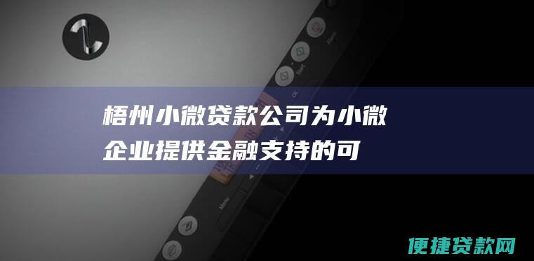 梧州小微贷款公司：为小微企业提供金融支持的可靠合作伙伴