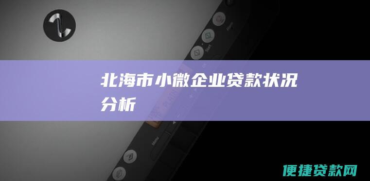 北海市小微企业贷款状况分析