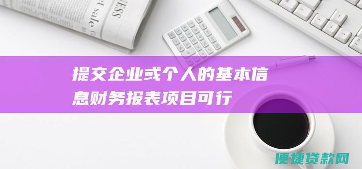 提交企业或个人的基本信息、财务报表、项目可行性报告等材料